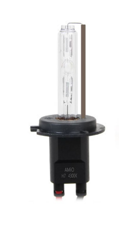 Xenonlampe H1 4,3K