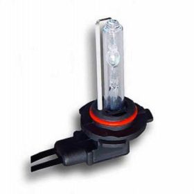 Xenonlampe H11 4,3K