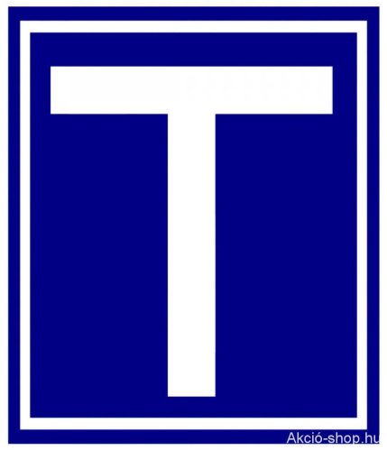 Lernfahrzeichen T-Magnet Normal 2023cm